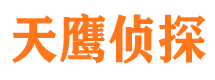 巴马市侦探公司